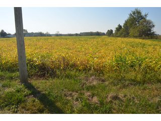 Property photo 60 - REAL ESTATE AUCTION - 604+/- ACRES IN 14 TRACTS IN MERCER CO., OHIO